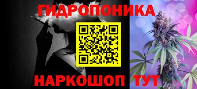шишки Ирбит