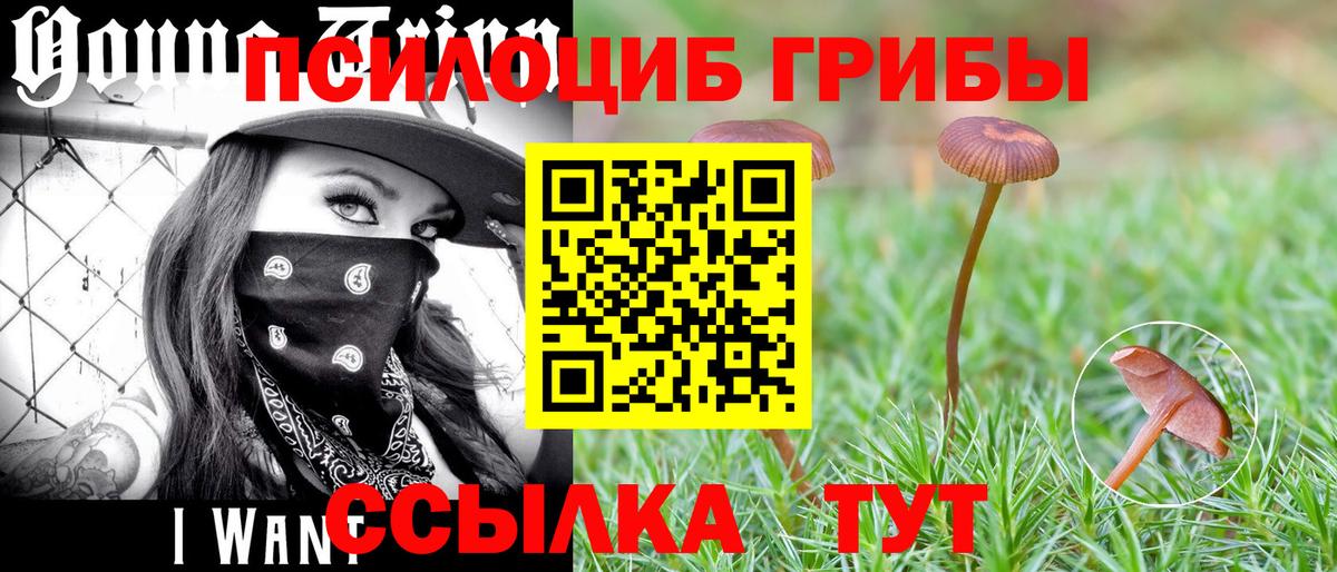 цены   Вход с VPN  Кувандык  Галлюциногенные грибы прущие грибы 